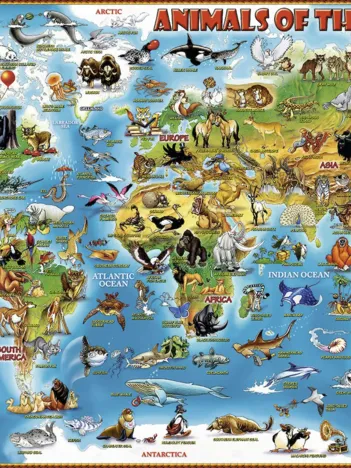 Produit Pièces XXL - Les Animaux du Monde Entier Image