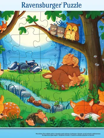 Produit Puzzle Cadre - Les Petits Animaux vont au Lit Image