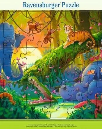 Produit Coucher De Soleil Dans La Jungle Image