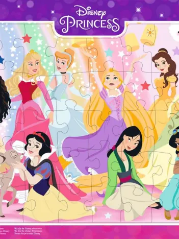 Produit Nous sommes les princesses Disney Image