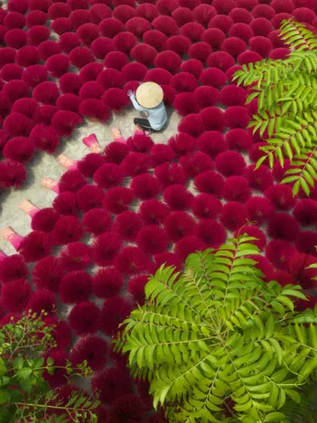 Produit Un Océan de Rouge Image