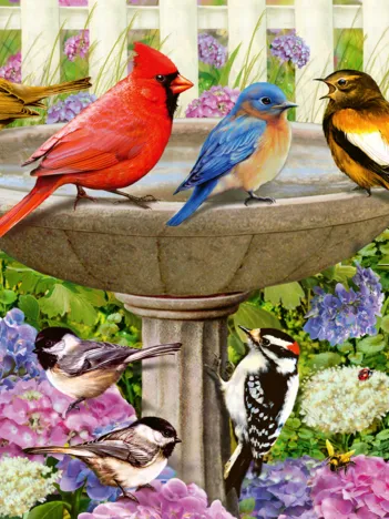 Produit Pièces XXL - Le bain d'oiseaux Image