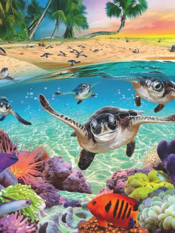 Produit Pièces XXL - Les bébés Tortues de Mer Image