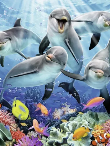Produit Dauphins dans la Barrière de Corail Image