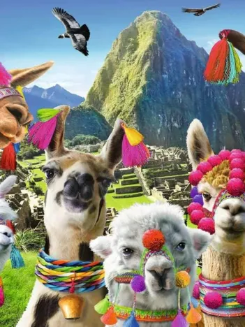 Produit Puzzle Moment - Lama Image