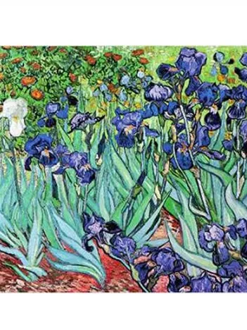 Produit Van Gogh Vincent - Iris Image