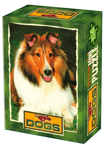 Produit Mini Puzzle - Animaux domestiques - Beau Shetland Image