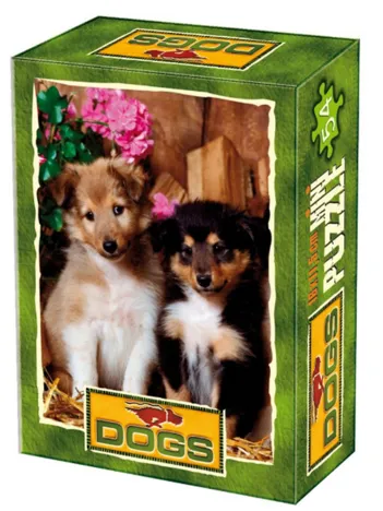Produit Mini Puzzle - Animaux domestiques - Couple de chiots dépareillés Image
