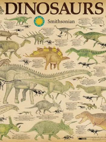 Produit Dinosaures Image