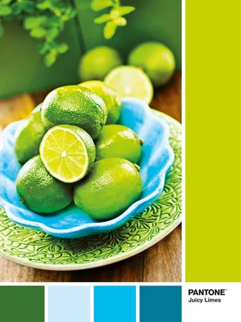 Produit Pantone - Jaune Citron Image