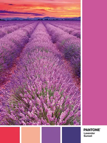 Produit Pantone - Violet Image
