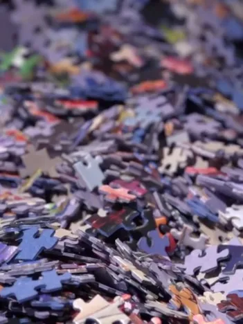 Produit Puzzle Mystère Panoramique sans Boite & sans Image - Sachet de 1000 Pièces Image