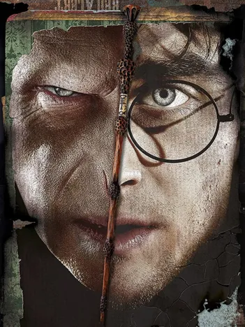 Produit Harry Potter Image