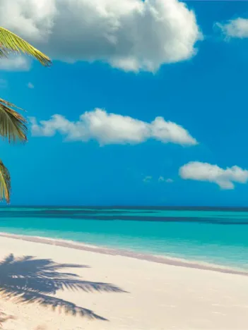 Produit Se Balancer Par L'Ocean Image