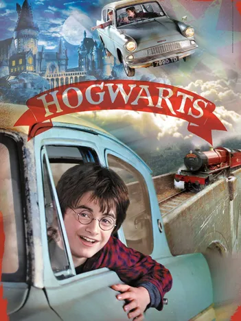 Produit Pièces XXL - Harry Potter Image