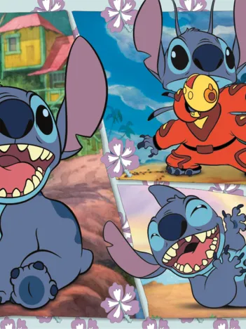 Produit Stitch Image