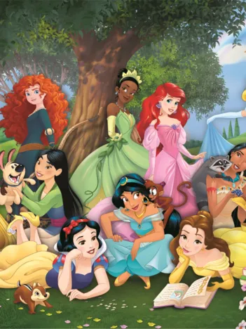 Produit Princesses Disney Image