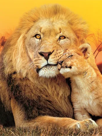 Produit Câlin Inattendu Image