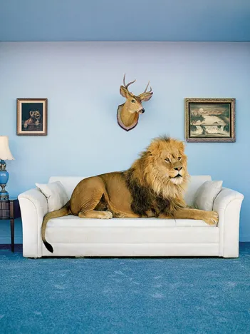 Produit Frame Me Up - The Master of the House Image