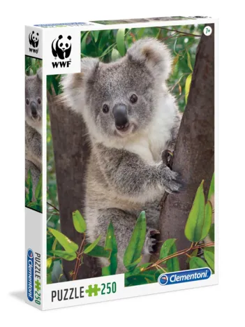Produit Bébé Koala Image