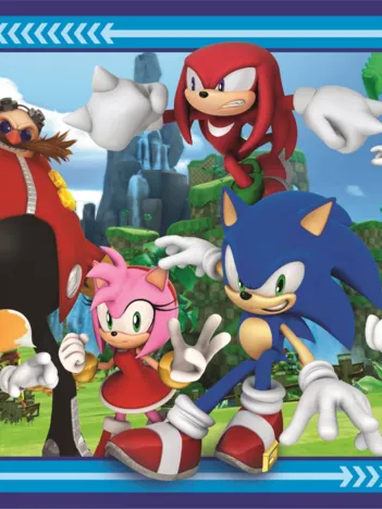 Produit Pièces XXL - Sonic Image