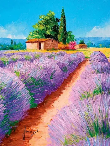 Produit Champ De Lavande Image