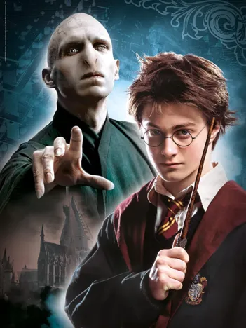 Produit Harry Potter Image