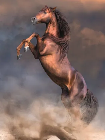 Produit Étalon Rouge Sauvage Image