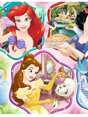Produit Disney Princess Image
