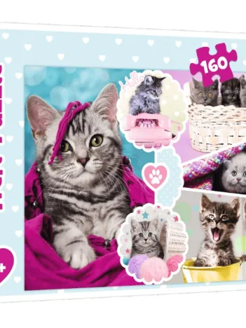Produit Chatons Image