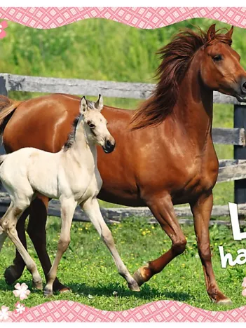 Produit Chevaux Image