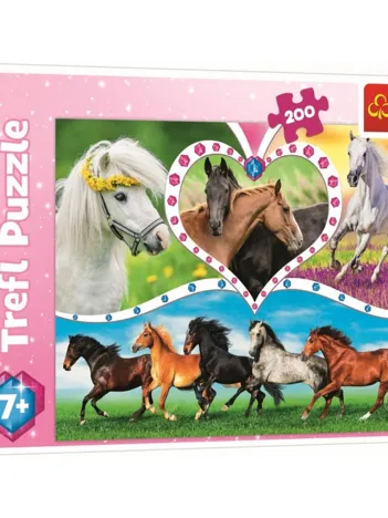 Produit Chevaux Image