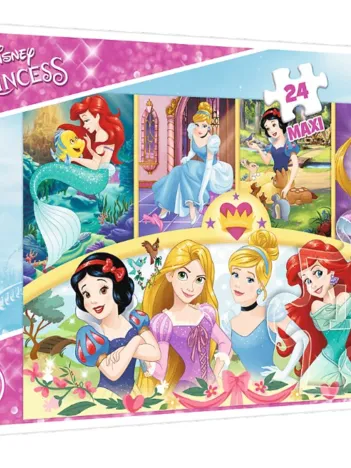 Produit Disney Princess Image