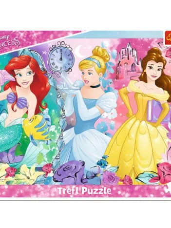 Produit Puzzle Cadre - Disney Princess Image