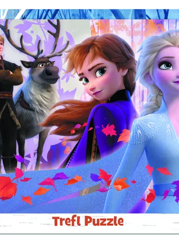 Produit Puzzle Cadre - La Reine des Neiges Image