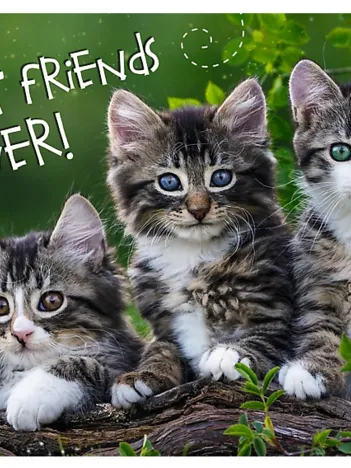 Produit Pièces XXL - Best Friends Forever Image