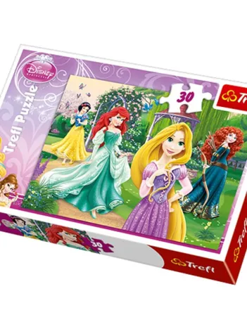 Produit Les princesses Disney - élégance Image