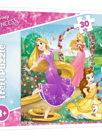 Produit Disney Princess Image