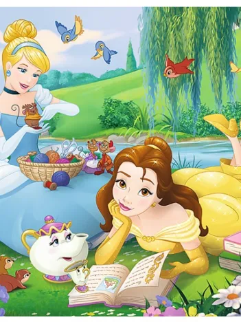 Produit Disney Princess Image