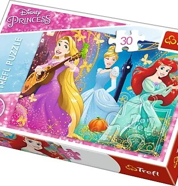 Produit Disney Princess Image
