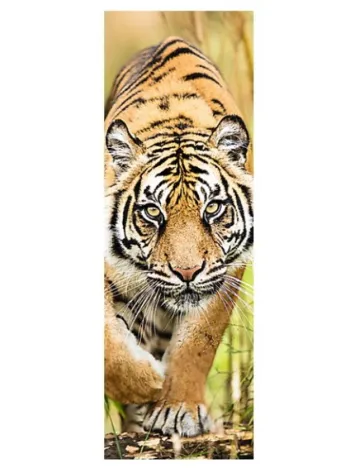 Produit Tigre Image
