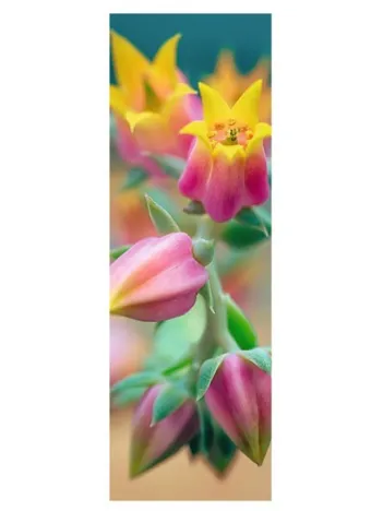 Produit Flowers in Bloom Image