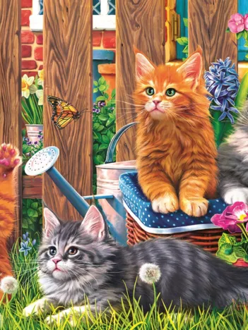 Produit Petits Chatons dans le Jardin Image