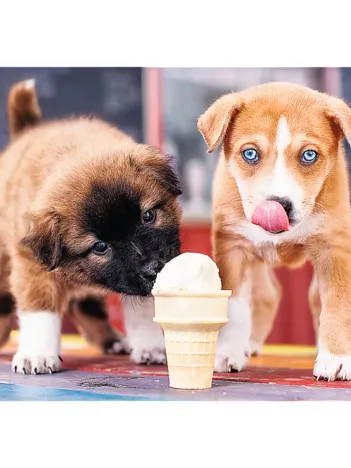 Produit Temps d'une Glace ! Image