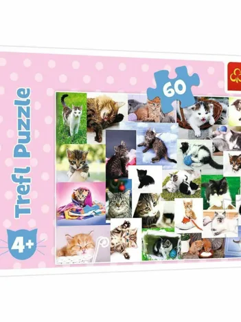 Produit Monde de Chats Image