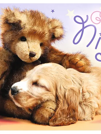 Produit Bonne Nuit Image