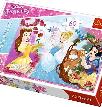 Produit Disney Princess Image