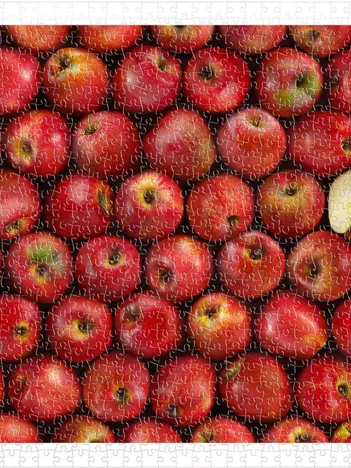 Produit Puzzle en Plastique - Fruits - Apple Image