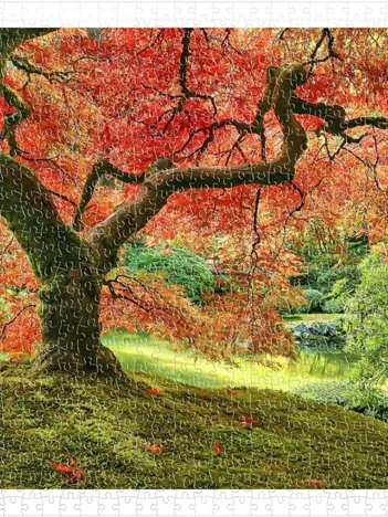 Produit Japanese Garden in Portland Image