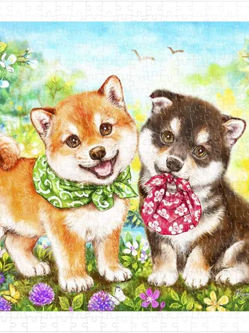 Produit Kayomi - Shiba Puppies' First Errand Image